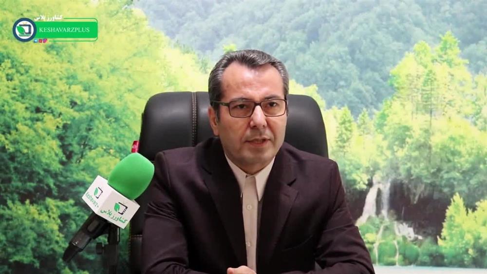 قیمت گوشت با افزایش عرضه دام عشایر به بازار کاهش می یابد