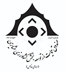 صندوق حمایت 